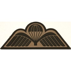 Para Wings badge