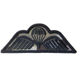 Para Wings badge CAMO