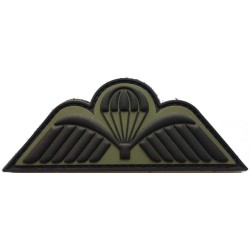 Para Wings badge