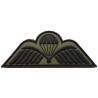 Para Wings badge